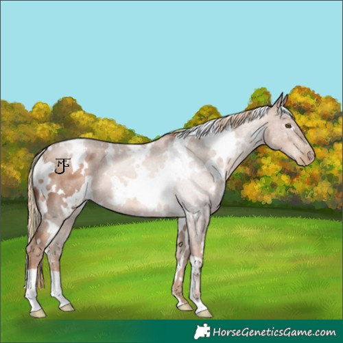 Horse Color:White Spotted Liver Chestnut Pearl 