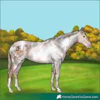 Horse Color:White Spotted Liver Chestnut Pearl 