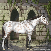 Horse Color:Brown Dun Mushroom Appaloosa Rabicano 