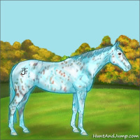Horse Color:Nacre Thunderstruck Chestnut Tobiano Near Leopard 