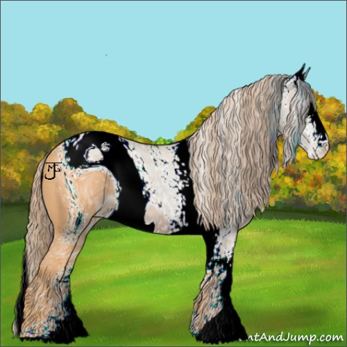 Horse Color:ERROR: UNKNOWN ANOMALY