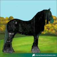 Horse Color:ERROR: UNKNOWN ANOMALY