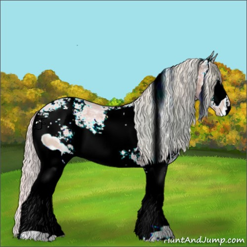 Horse Color:ERROR: UNKNOWN ANOMALY