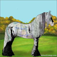 Horse Color:ERROR: UNKNOWN ANOMALY