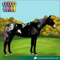 Horse Color:ERROR: UNKNOWN ANOMALY