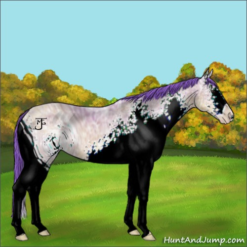 Horse Color:ERROR: UNKNOWN ANOMALY
