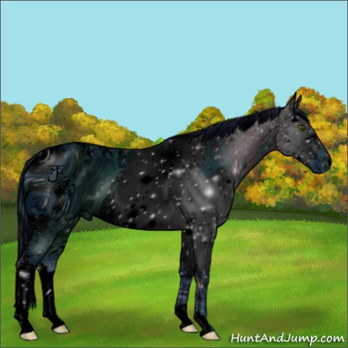 Horse Color:ERROR: UNKNOWN ANOMALY