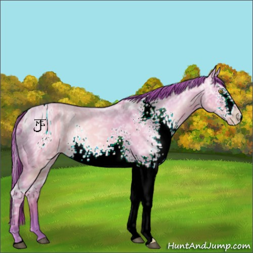 Horse Color:ERROR: UNKNOWN ANOMALY