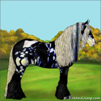 Horse Color:ERROR: UNKNOWN ANOMALY