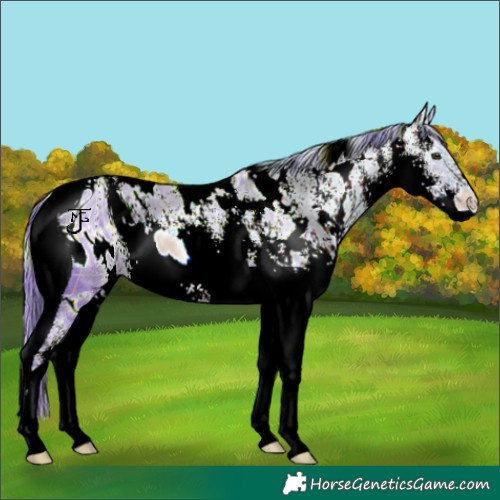 Horse Color:ERROR: UNKNOWN ANOMALY