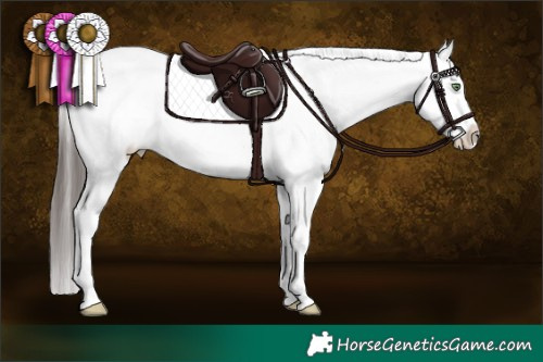 Horse Color:Sable Champagne Dun Sabino Splash Rabicano 