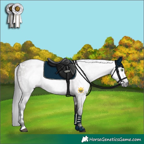Horse Color:Gray White Spotted Grullo Rabicano 