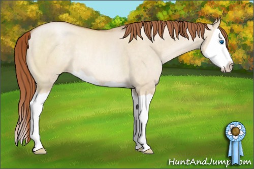 Horse Color:Buckskin Pearl Dun Splash Rabicano 