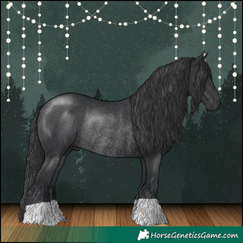 Horse Color:Black Rabicano 
