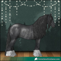 Horse Color:Black Rabicano
