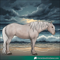 Horse Color:Silver Black Appaloosa Rabicano 