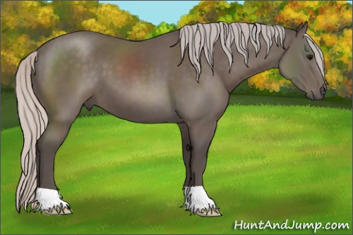 Horse Color:Silver Black 