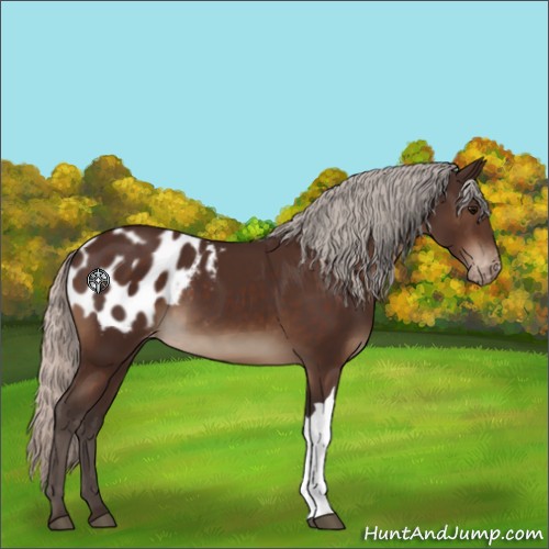 Horse Color:Silver Brown Blanket