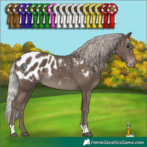 Horse Color:Silver Black Blanket 