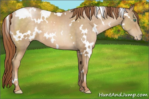 Horse Color:White Spotted Smoky Black Pearl 