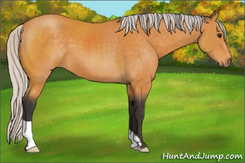 Horse Color:Silver Buckskin