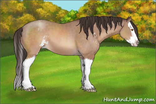 Horse Color:Sable Champagne Sabino Splash Appaloosa 
