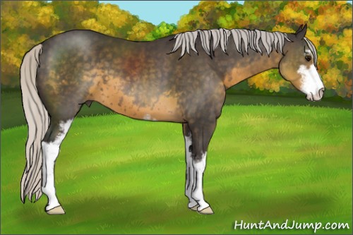 Horse Color:Silver Smoky Black Sabino