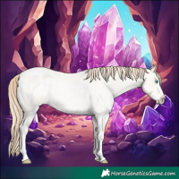 Horse Color:Perlino Roan Dun Sabino Rabicano