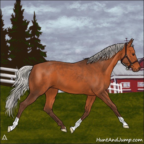 Horse Color:Silver Bay