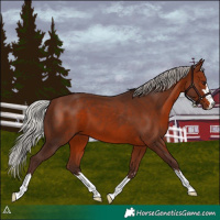Horse Color:Silver Brown 