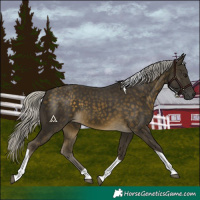 Horse Color:Silver Buckskin Tobiano