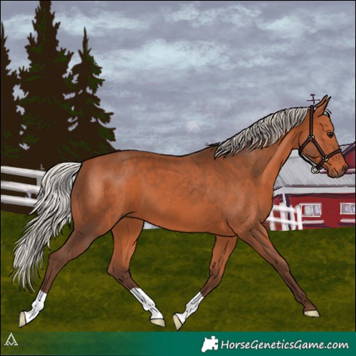 Horse Color:Silver Bay