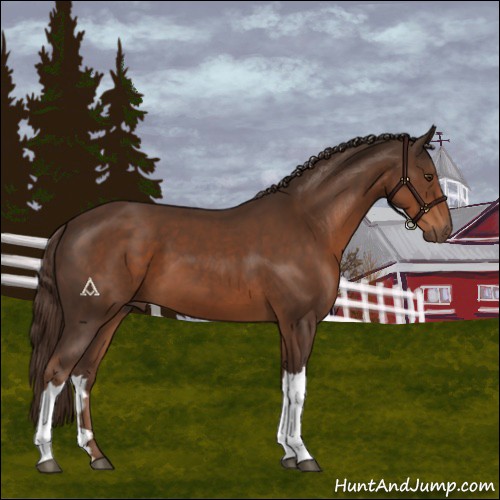 Horse Color:Liver Chestnut 