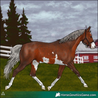Horse Color:Silver Brown 