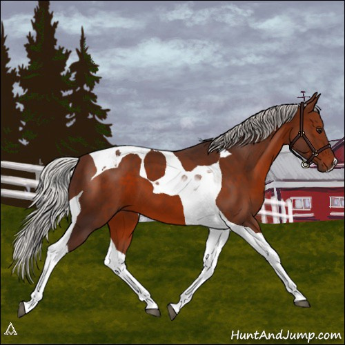 Horse Color:Silver Brown Tobiano 