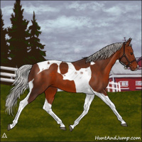 Horse Color:Silver Brown Tobiano 