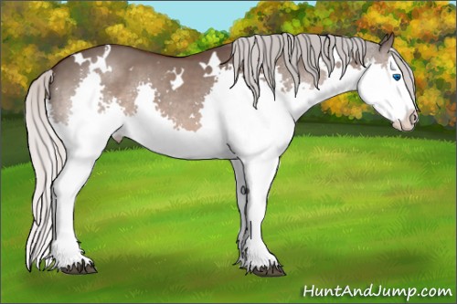 Horse Color:White Spotted Silver Brown Dun Sabino Splash 