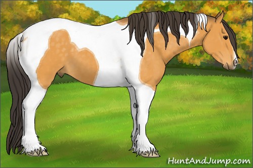 Horse Color:Buckskin Tobiano 