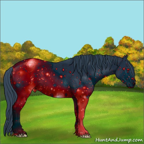 Horse Color:ERROR: UNKNOWN ANOMALY
