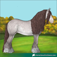 Horse Color:Platinum Chocolate Sable Cream Champagne 