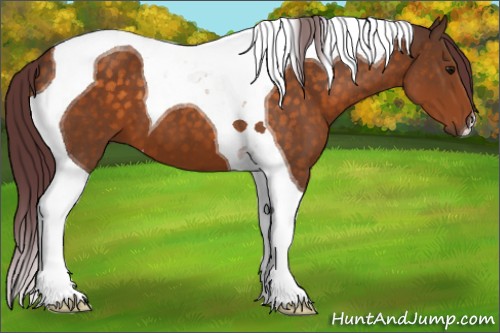 Horse Color:Chocolate Buckskin Tobiano 
