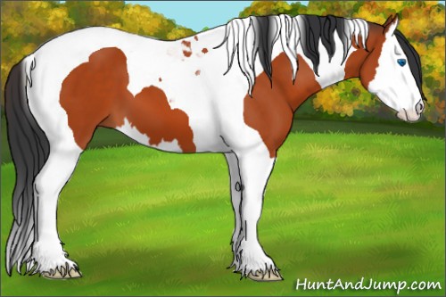 Horse Color:Brown Splash Tobiano 