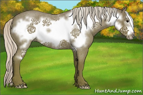 Horse Color:Silver Blue Roan Frame 