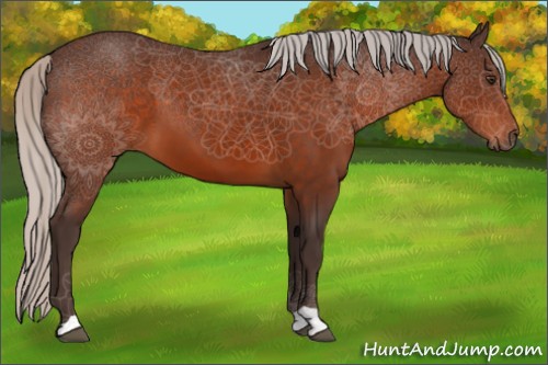 Horse Color:Silver Brown 