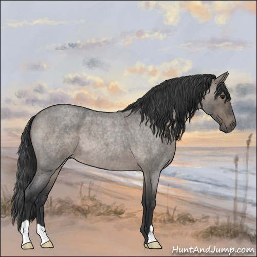 Horse Color:Grullo Roan 