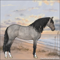 Horse Color:Grullo Roan 