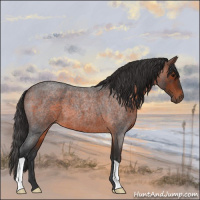 Horse Color:Brown Roan 