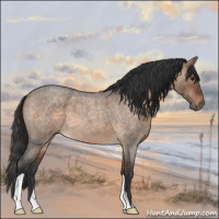 Horse Color:Brown Roan Dun 