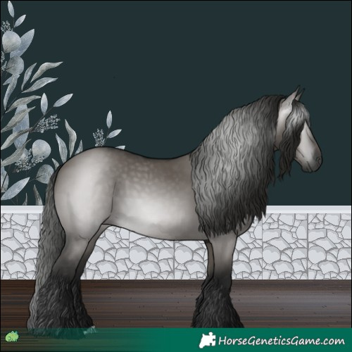 Horse Color:Gray Grullo 