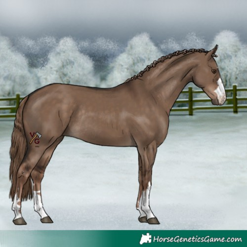 Horse Color:Liver Red Dun Rabicano 